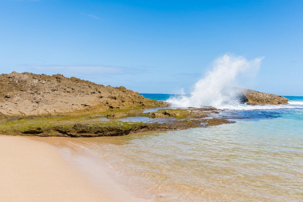 شقة Ventana Al Atlantico At Arecibo 681 Ocean Drive Islote المظهر الخارجي الصورة
