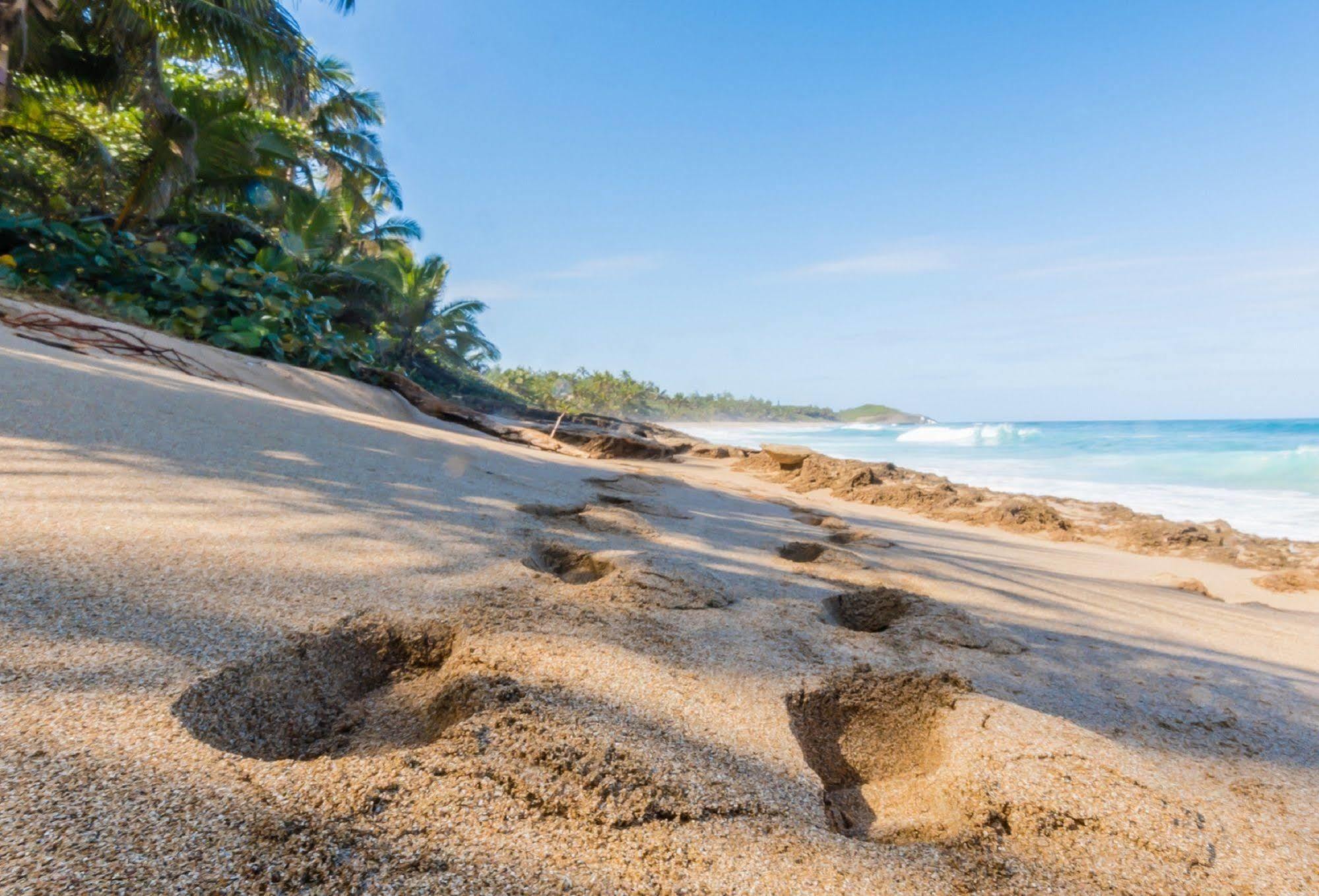 شقة Ventana Al Atlantico At Arecibo 681 Ocean Drive Islote المظهر الخارجي الصورة